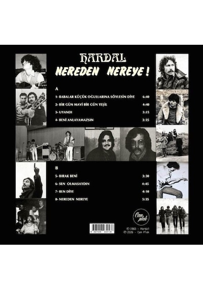Hardal Nereden Nereye Renkli Plak Lp Plak