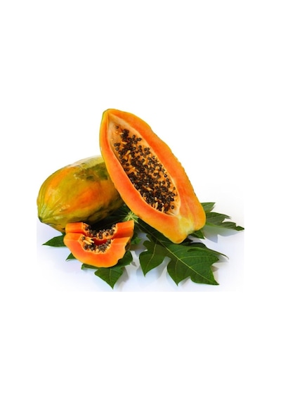 Papaya Meyvesi Tohumu Tropikal Meyve Tohumları 2 Adet Tohum