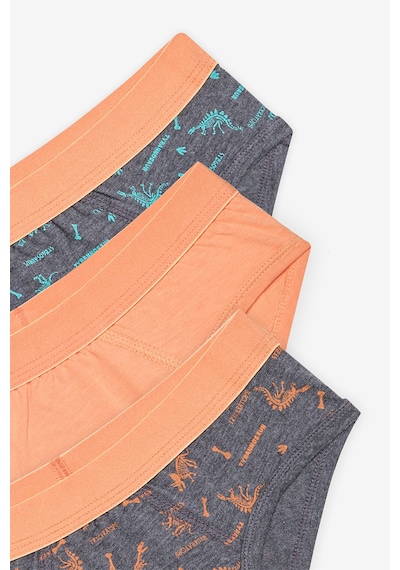 Penti Erkek Çocuk Blue Solid 3lü Çok Renkli Slip Külot Açık Gri