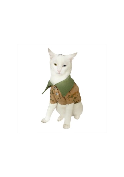Kemique Komando Polo Yaka Tişört Kedi Kıyafeti