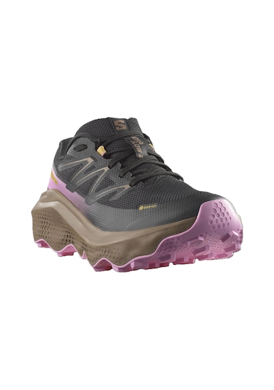 Salomon Ultra Flow 2 Gtx Kadın Ayakkabısı L47884400 Çok Renkli