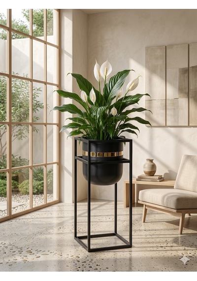 Bitkidunyam Mat Metal Kare Ayaklı Saksı, Altın Detaylı Kenar, Silindirik, Modern Tasarım, 41x21 Cm No:6 Siyah