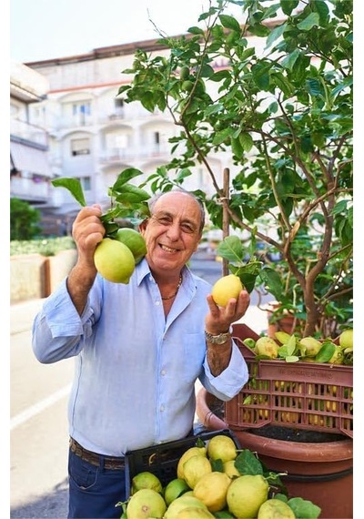 Gennaro's Limoni: Vibrant Italian Recipes Celebrating The Lemon Açık