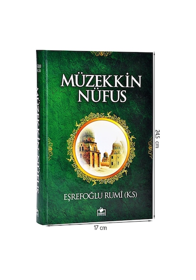 Müzekkin Nufus - Eşrefoğlu Rumi - Merve Yayınları-1518