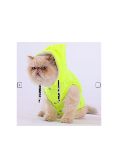 Stupid Yeşil Nakışlı Şirin Köpek Kıyafeti