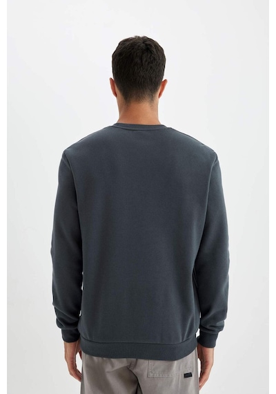 DeFacto Regular Fit Bisiklet Yaka Kalın Basic Düz Sweatshirt T3777AZ24AUAR184