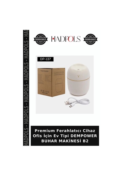 Premium Ferahlatıcı Cihaz Ofis İçin Ev Tipi Dempower Buhar Makinesi B2
