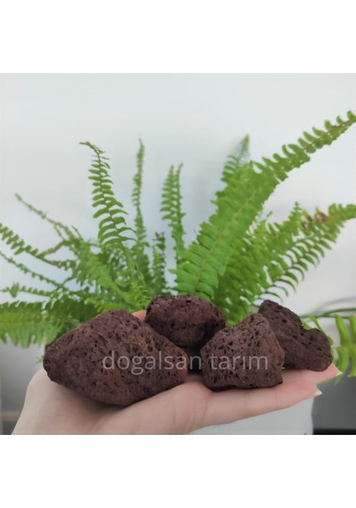 1 Kg 5-10 Cm Akvaryum Taşı Teraryum Taşı Filtre Taş Pomza Taşı