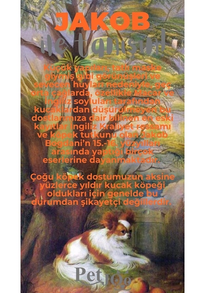 Petjoo 8.Jakob Gri-Turuncu Qr'lı Köpek Künyesi