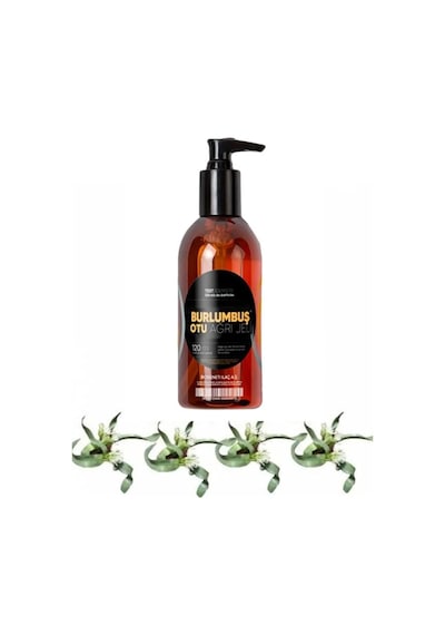 Burlumbuş Otu Bakım Masaj Jeli 120 Ml X 1 Adet