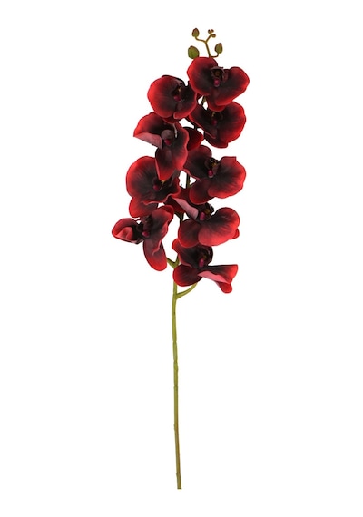 Yapay Islak Dokulu Premium Orkide Çiçeği 97 Cm Kırmızı