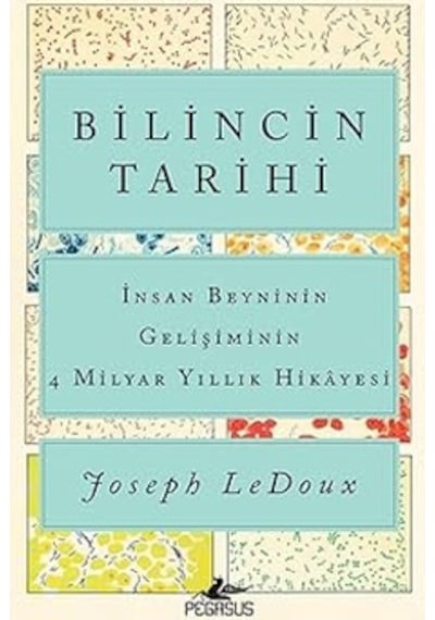 Yakın Tarihin Gerçekleri + Bilincin Tarihi - İnsan Beyninin Gelişiminin 4 Milyar Yıllık Hikayesi