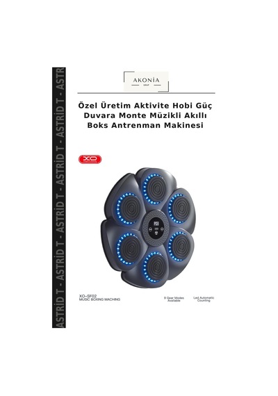 Özel Üretim Aktivite Hobi Güç Duvara Monte Müzikli Akıllı Boks Antrenman Makinesi