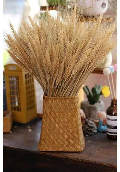 Naturel Başak Demeti Süslük Vazoluk Kuru Çiçek Buketi