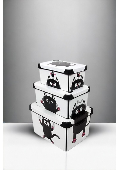Style Box Meowdesenli 3 Parça Dekoratif Saklama Kutusu Seti Çok Renkli