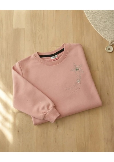 Alfa Kız Çocuk Pudra Renkli Kol Taslı Sweatshirt