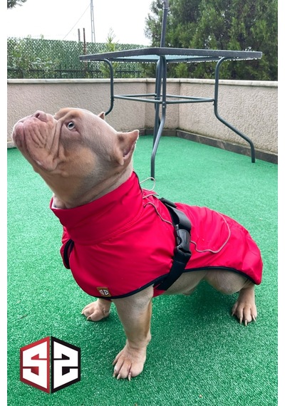 Salya Store Büyük Ve Orta Irk Su Geçirmez Köpek Montu Bkm-101