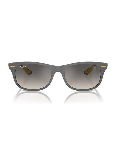 Ray-Ban 4607m F60811 55 Erkek Güneş Gözlüğü