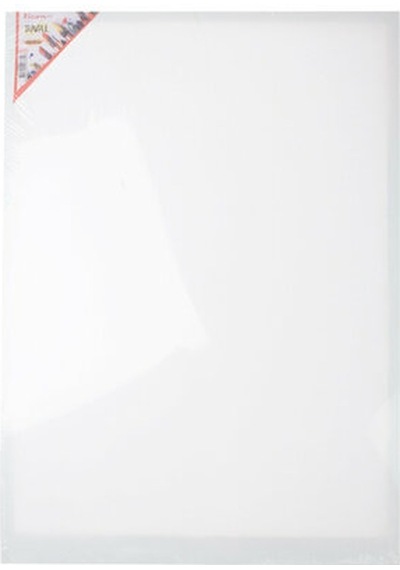 Ticon Eko 50X70cm Tuval 349396 6335