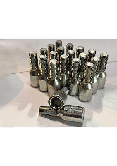 Alyan Başlı Bijon 12x1.50 20'li Set Şifreli Bijon