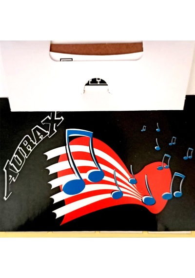 Aurax Arx25t Divan Ters Telleme Saz Teli - Bağlama Düzeni İçin