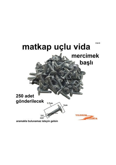 Matkap Uçlu Akıllı Vida 250 Adet Mercimek Başlı 1,5Cm Vida Yıldız