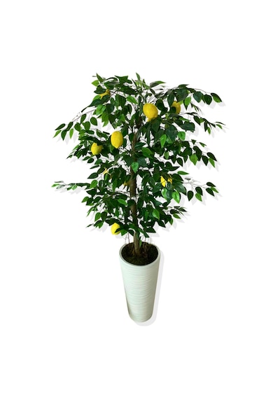 Cihan Çiçekçilik Yapay Ağaç Limon Ağacı 170 Cm 56x30x20 Beyaz Kumsal Saksı Yeşil