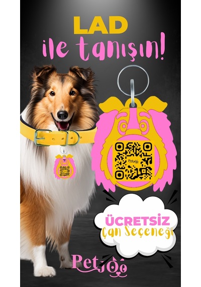 Petjoo 23.Lad Pembe-Sarı Qr'lı Köpek Künyesi