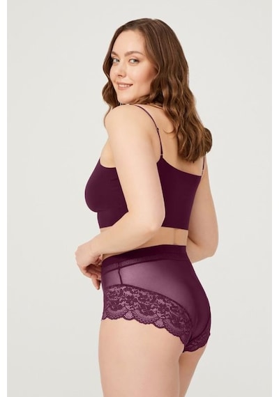 Cottonhill Dantel Detaylı Transparan Büyük Beden Bikini Külot 3'lü Paket-2 Çok Renkli 2