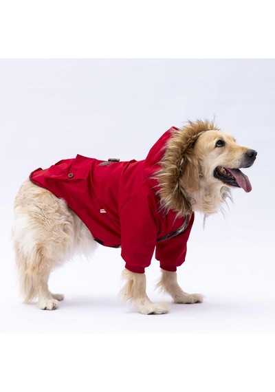Kırmızı Charles Büyük Irk Köpek Mont Köpek Yağmurluk Köpek Kıyafeti Köpek Elbisesi Kırmızı Charles Büyük Irk Köpek Mont Köpek Yağmurluk Köpek Kıyafeti Köpek Elbisesi
