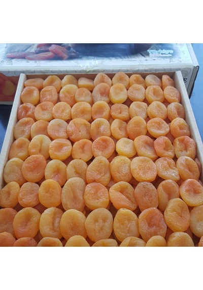 Toptan Lüks Ortaboy Sarı Kayısı 3 No 10 Kg 10 KG