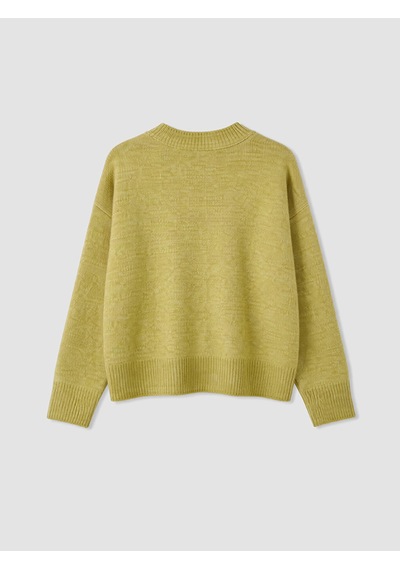 Lcwaıkıkı Classic Yeşil Bisiklet Yaka Oversize Kadın Triko Kazak