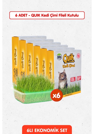 6 Adet Doğal Kedi Çimi Fileli Ve Kutulu Tüy Yumağı Önleyici