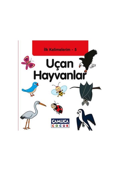 Uçan Hayvanlar / İlk Kelimelerim -5