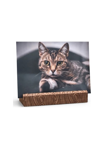 Kartlık Stand Fotoğraf & Not Tutucu Masa Üstü 3d Baskı