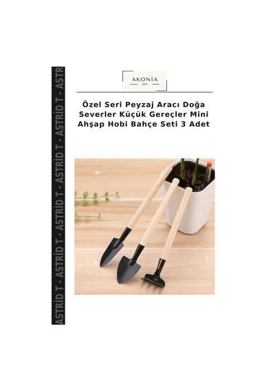 Özel Seri Peyzaj Aracı Doğa Severler Küçük Gereçler Mini Ahşap Hobi Bahçe Seti 3 Adet