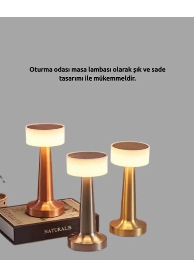 Şarj Edilebilir Led Masa Lambası Usb Girişli, Metal Yapı Standart