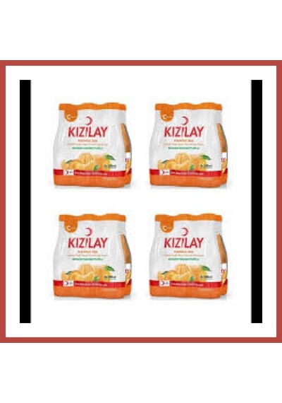 Bezos Kızılay Mandalina 200 Ml 24 Adet Koli Erdotıca