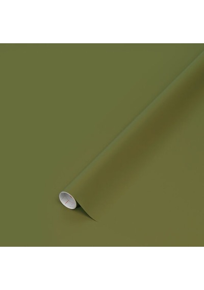 D-c-fix 276-0713 Mat Yağ Yeşil Kendinden Yapışkanlı Folyo 45 Cm X 2 Mt