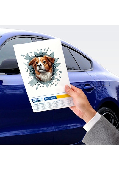 Fulcar Australian Shepherd Araç Stickerı Çok Renkli