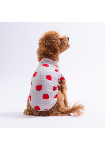 Summer Dreams Yaz Rüyası 3lü Sweat Set Kedi Köpek Sweati-kedi Köpek Kıyafeti