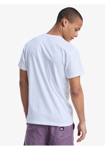 Quiksilver Eqyzt08042 Ev Mini Logo Ss Beyaz Erkek T-shirt