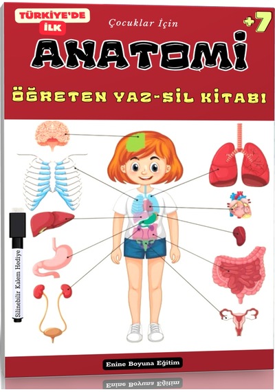 Çocuklar İçin Anatomi Öğreten Yaz-sil Kitabı