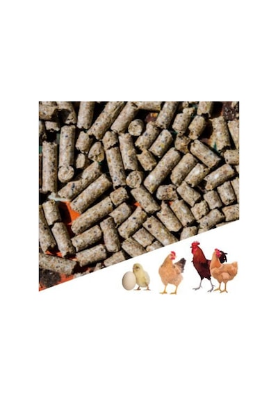 4 Kg Pelet Proteinli Özel Tavuk Kaz Ördek Ve Kanatlı Hayvan Besi Yumurta Yemi 4 Kg