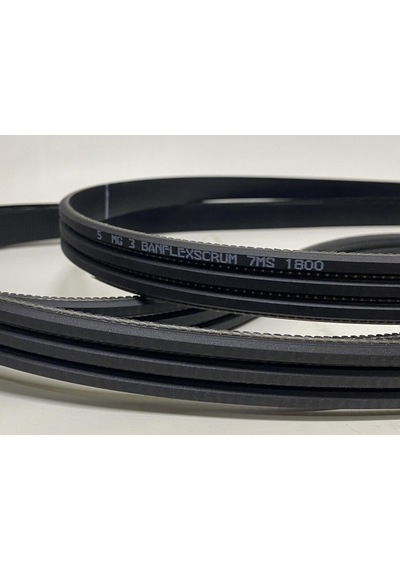 7ms 1800 Banflex 3 Tepe Kanallı Poly V Kayış
