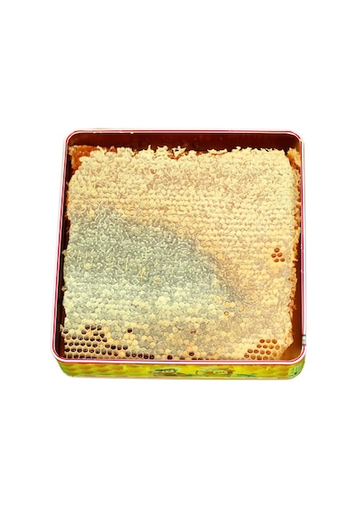 Hizan Petek Balı 1250 G