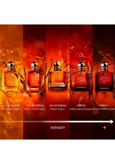 Armani Erkek Parfüm 100 Ml, 5003328274 Diğer