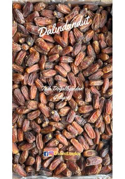 Yeni Mahsul Doğal Organik Medine Hurması Mebrum 250 Gr 250 G