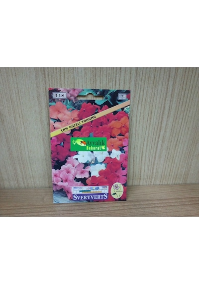 Cam Güzeli Çiçeği Tohumu Paket
