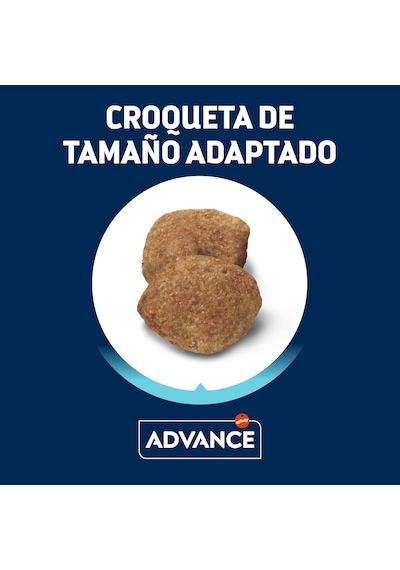 Maxi Light Tavuklu Büyük Irk Yetişkin Köpek Kuru Maması 12 Kg